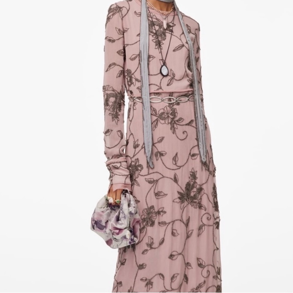 NWT Zara Limited edition long dress with applique.